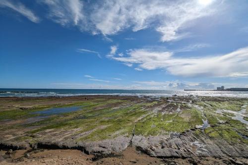 Pleasant seaside studio - image 4
