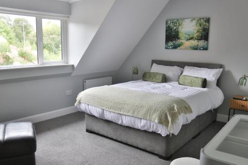 Ivy Guesthouse in Kilkenny
