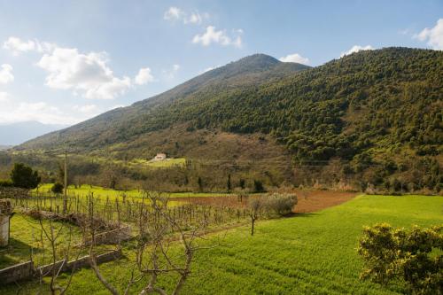 Merus in Faicchio