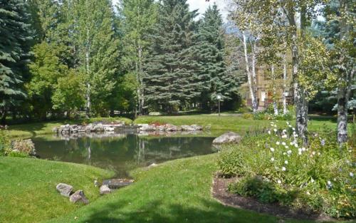 Dollar Meadows #1373 - image 13