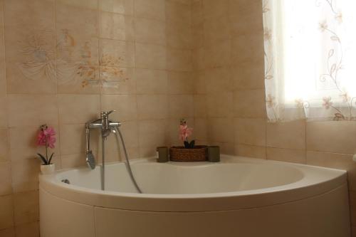 Fürdőszoba, Appartamento in Villa Nadin in Monte Compatri