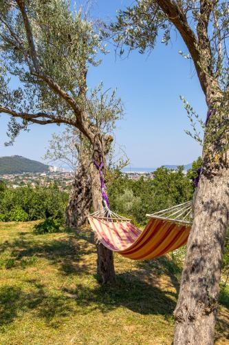 Whisper of Olives - 5 Min Drive to the Old Town, Bar