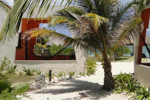 Mayan Beach Garden - 주변 환경
