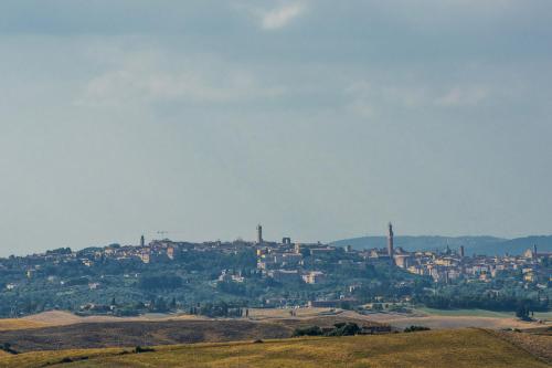 Appartamenti Villa e Fattoria di Radi Tuscany