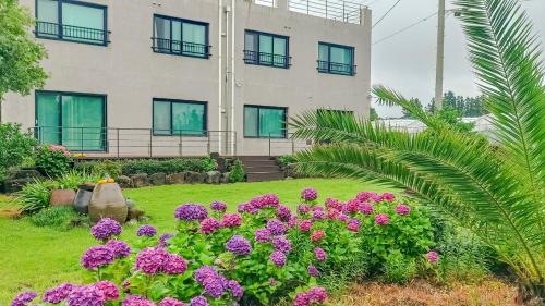 Jeju Chunjane Pension — other in 77, Seogwangdong-ro, Andeok-myeon, Seogwipo KR, 63522