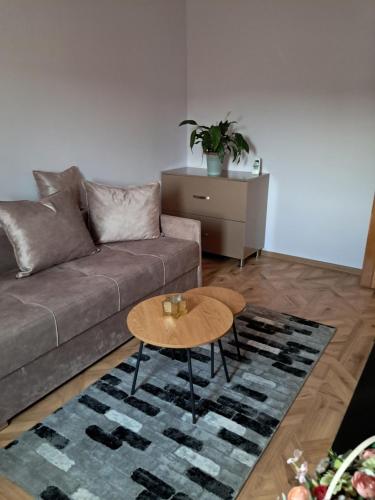 . Cazare Apartament