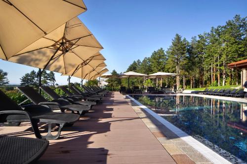 Esterra Vini Guest House - image 10