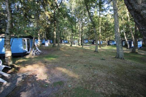 Bungalow MEER ODER WENIGER direkt am Strand in Dranske, Deutschland