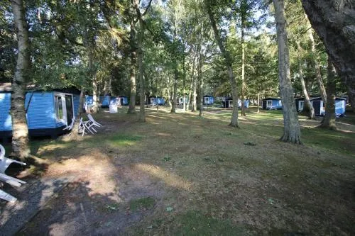 Bungalow MEER ODER WENIGER direkt am Strand in Dranske, Deutschland