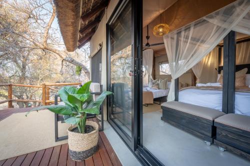 Sausage Tree Safari Camp 1