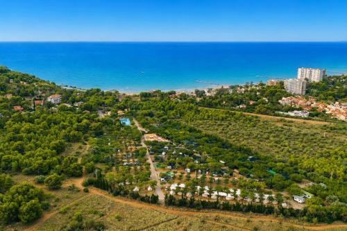 Kampaoh Benicàssim