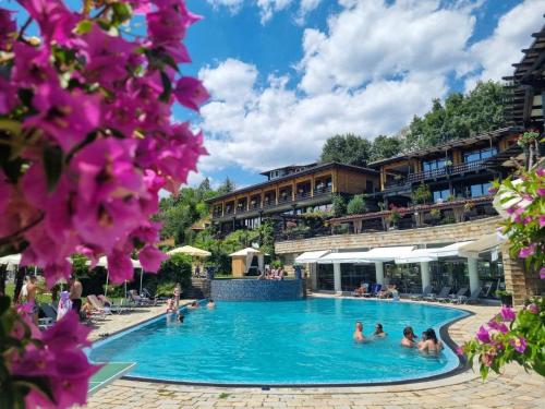 Swimming pool, VIP House Glavatarski Han in Glavatartsi