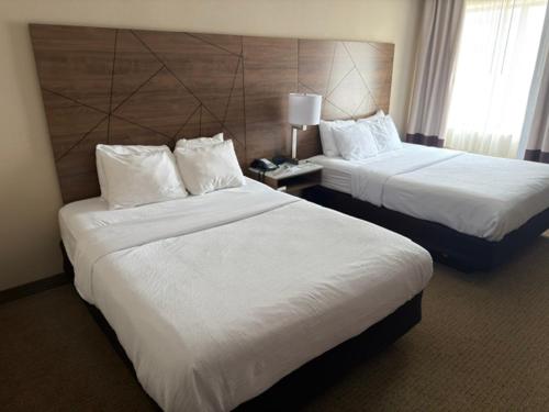 2 queen beds