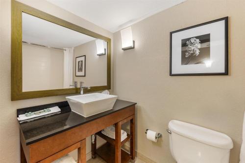 Best Western Alamo Suites - image 4