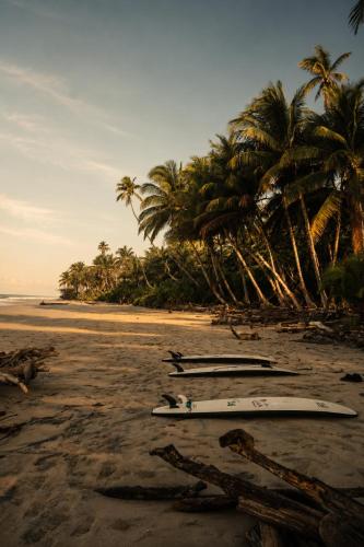 Believe Surf & Yoga Lodge Santa Teresa in Santa Teresa