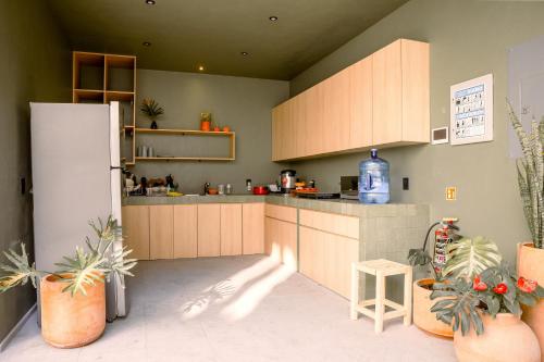 Cocina, Hospedarte Central Hotel in Guadalajara