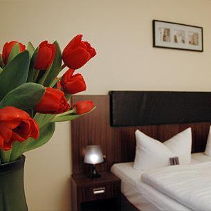 City Hotel Mercator - image 11