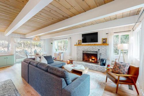 Saint Bernard Beauty, Lake Arrowhead