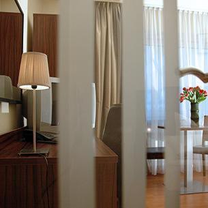 City Hotel Mercator - image 10