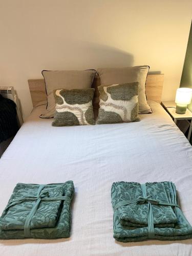Cosy studio Albertville parking gratuit in Gilly-sur-Isere