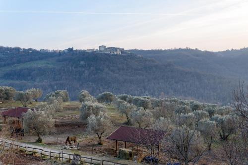 La Tenuta - Resort Agricolo