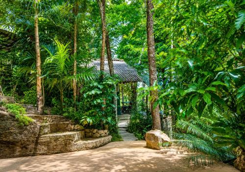 Pemandangan luar, Belihuloya Escape and Cafe in Belihuloya