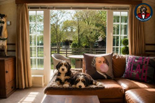 Berney Lodge by SkyBears Holidays - Puppy Lounge, Arcades, Games room gîte à louer Newton by Toft