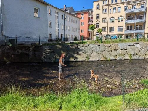 Urlaubsmagie Ferienwohnung Fledermaus - Gemeinschaftsgarten mit Sauna - F1B in Sebnitz, Deutschland