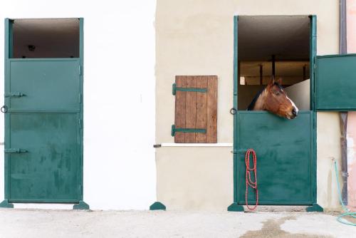 La Tenuta - Resort Agricolo