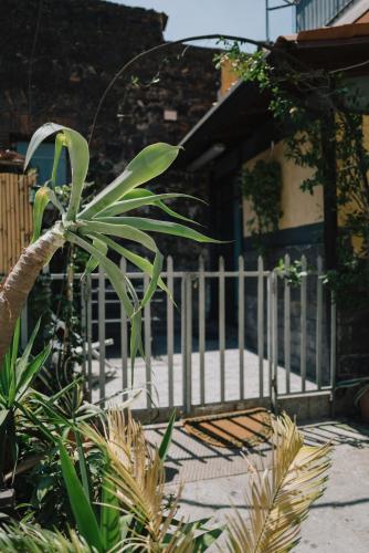 Bianchi house