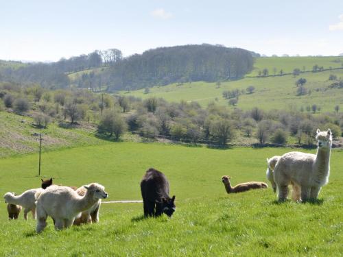 Udvendig, Mendip in Priddy