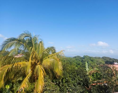 Appartement charmant à Sainte-Luce avec vue sur la montagne - image 2