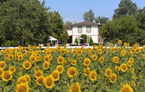 residence la Salamandre kamers - Chambre d'hôtes - Rabastens