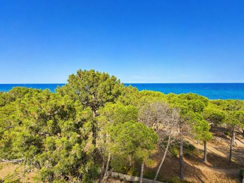 T2 charmant, vue mer - 2 pers. - FR-1-388-263