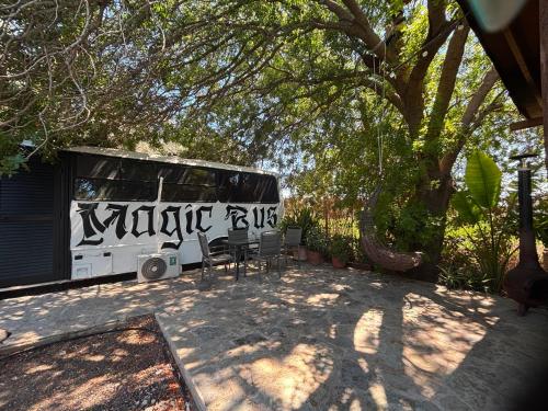 Magic Bus - Paphos