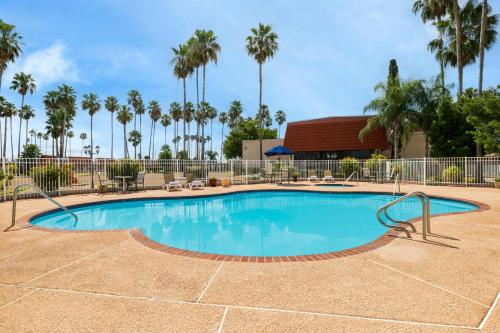 Victoria Palms Inn and Suites