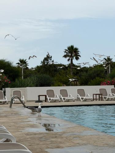 Radisson blu résidence alhcoeima (Radisson blu residence alhcoeima) in Ajdir