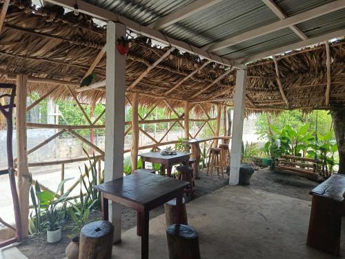 mamacita cafe house in Moyogalpa
