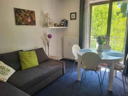 Family Apartment, 2 Bedrooms, 2 Bathrooms, Bavarian Forest in Mitterfirmiansreut, Deutschland