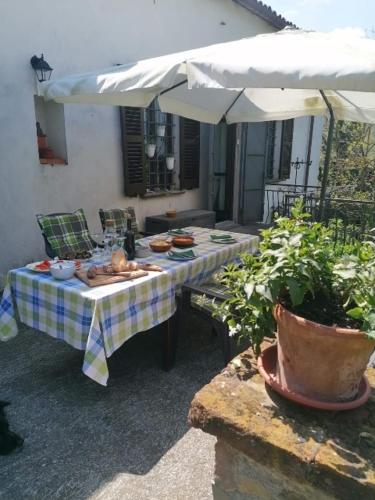 Casa Elvira Antica Casa di campagna in San Michele di Mondovì