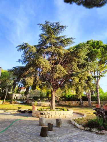 Eagles Nest Guesthouse- Rose Lily Suite 2 in Tripoli