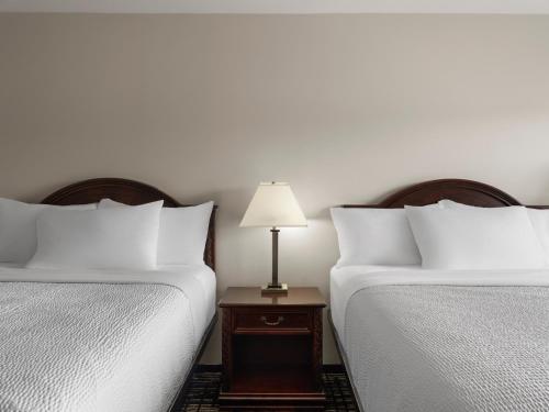 2 queen beds