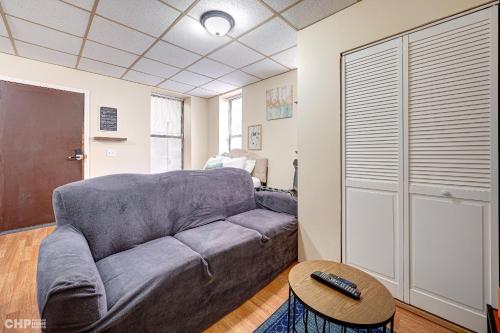 Newly Renovated Studio in the Heart of Pilsen condo in Lower West Side
