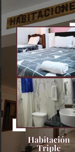 Hotel Plazas Millas Merida in Merida