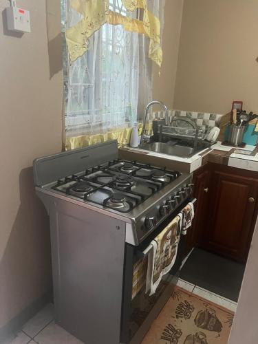 Tropical Breeze Villa in Port Maria