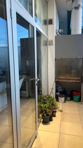 Spacious apartment in the Chauvin area of Mar del Plata - image 3