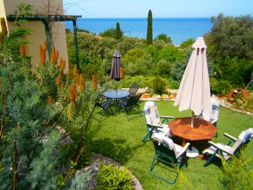 A környék, Argo Studios in Plaka