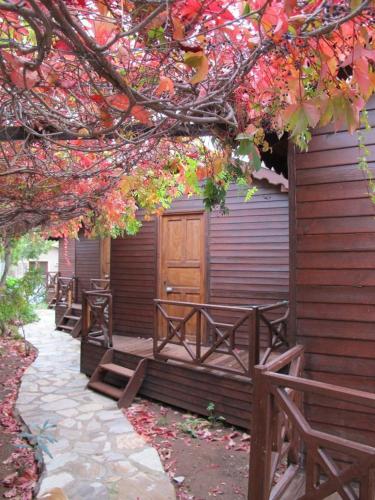 Changa Hotel in Adrasan