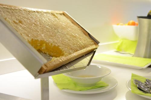 Oxygen Lifestyle Hotel/Helvetia Parco - image 6