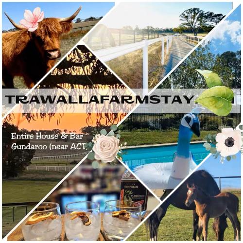 Trawalla Farm Stays - Entire House and Large Pool Bar - Perfect for Groups